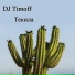 Dj Timoff