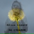 Alice Lizard