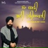 Bhai Sarabjeet Singh Ramdas Amritsar Wale