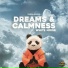 Panda Noises, Panda Sleep, Panda Music