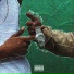 Guiz3, TR4SH, Leonan MC, Jordax feat. Prod Noronha