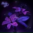 LINBY