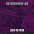 Lora Metron