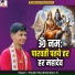 Pandit Shashishekhar Ji