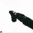 Malskii