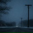 SilentWoods