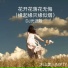 MyTy, 冰山美人