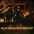 Old Horned Sheep