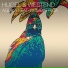 Hugel feat. Westend & Cumbiafrica [drivemusic.me]
