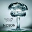 NIDSON