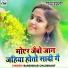 Bansidhar Chaudhary