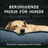 Soundtrack für ruhige Tiere