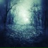 Into Dreams
