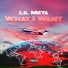 Lil Meta