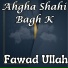Fawad Ullah