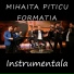 Mihaita Piticu feat. Formatia