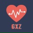GXZ, Heer