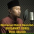 Mochamad Habib Nasrullah