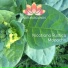 Naturasounds