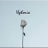 Uphoria