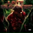 Rizzy RTG, Vnero