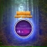 Incode