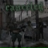 YXFXR, ccactus