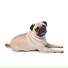 MopSxS