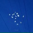metaego, AsteraSounds