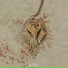 ANT're, 6ANE