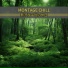 Montage Chill