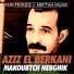 Aziz El Berkani