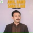Shan Mir Kashmiri