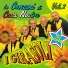 I girasoli