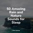 Nature's Symphony, Relaxamento, Meditação Clube