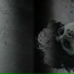 neoblack