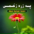 Abed Sohail Sabri