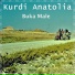 Kurdi Anatolia