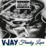 Vjay