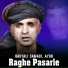 Baryali Samadi, Ayub