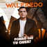 Walfredo Cantor