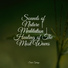 Lluvia, Pro Sounds of Nature, Zen Meditate
