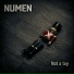 Numen