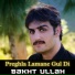 Bakht Ullah