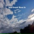 Divine Vibration