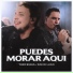 Theo Rubia, David Lugo