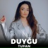 Duygu