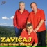 Zavicaj