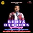 Kalpit Mathur feat. Harshal Mathur