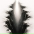 NVoid